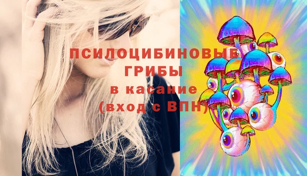 Альфа ПВП Горнозаводск