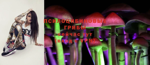 стаф Няндома