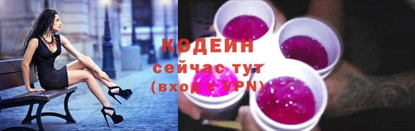 Альфа ПВП Горнозаводск