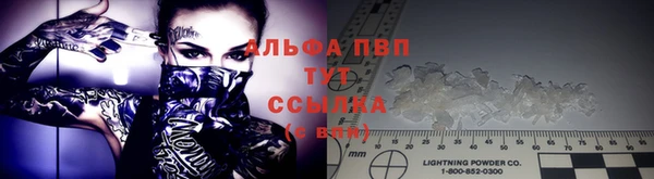 стаф Нягань