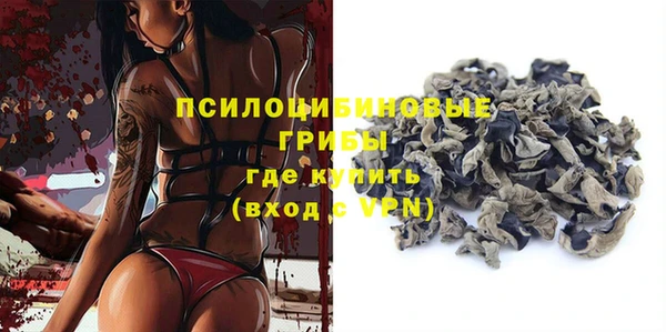 стаф Няндома