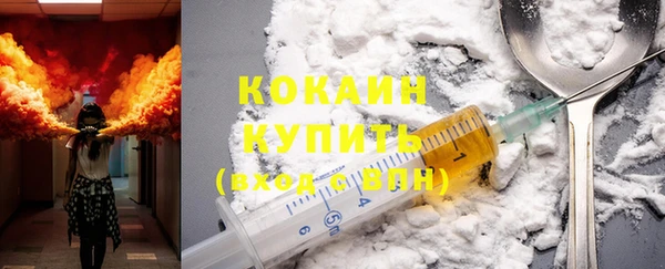 прущие крисы Горняк