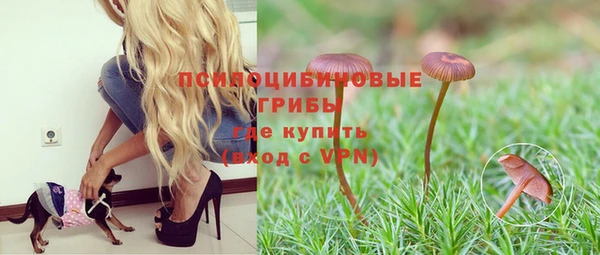 Альфа ПВП Горнозаводск