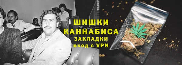 прущие крисы Горняк